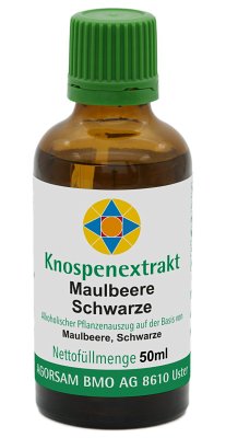 Maulbeere, Schwarze (Morus nigra)
